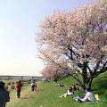 多摩川野毛あたり(Photograph-1)