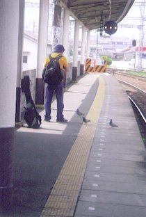 鳩とバンマス
