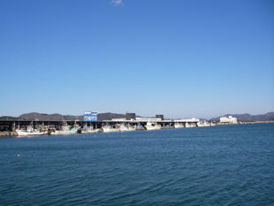 石巻漁港