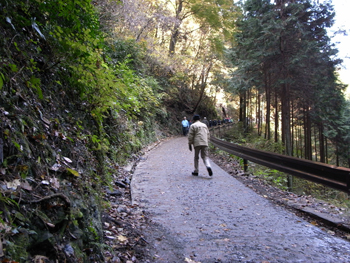 11/29 高尾山初登山