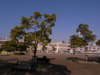 青春